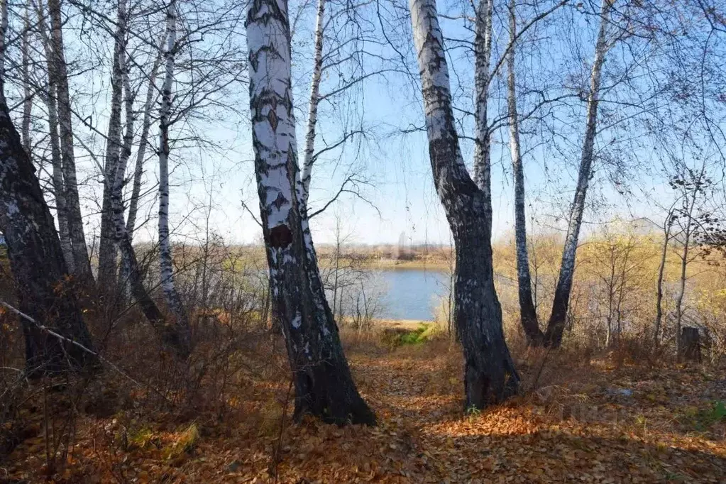 Участок в Тюменская область, Тюменский район, Лесное СНТ ул. Лесная ... - Фото 0