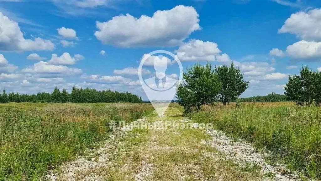 Участок в Рязанская область, Рязанский район, Вышгородское с/пос, с. ... - Фото 0