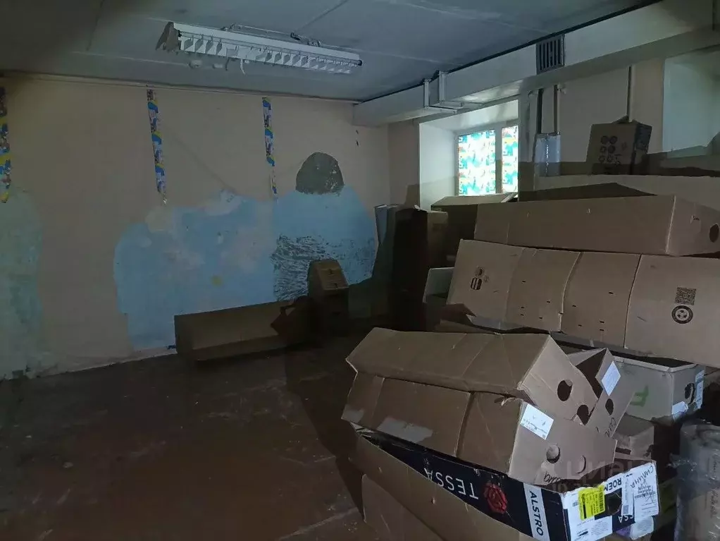 Помещение свободного назначения в Пермский край, Пермь ул. Маршала ... - Фото 2