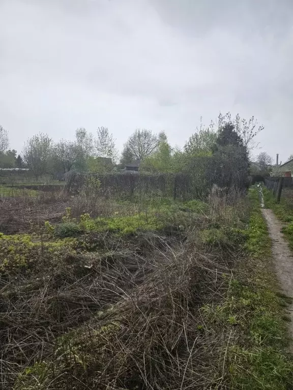 Участок в Московская область, Пушкинский городской округ, с. ... - Фото 1