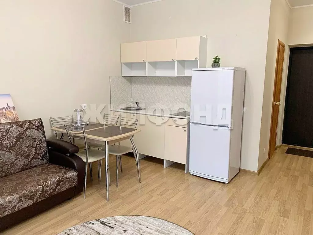 Студия Новосибирская область, Новосибирск 2-я Обская ул., 154 (25.8 м) - Фото 1