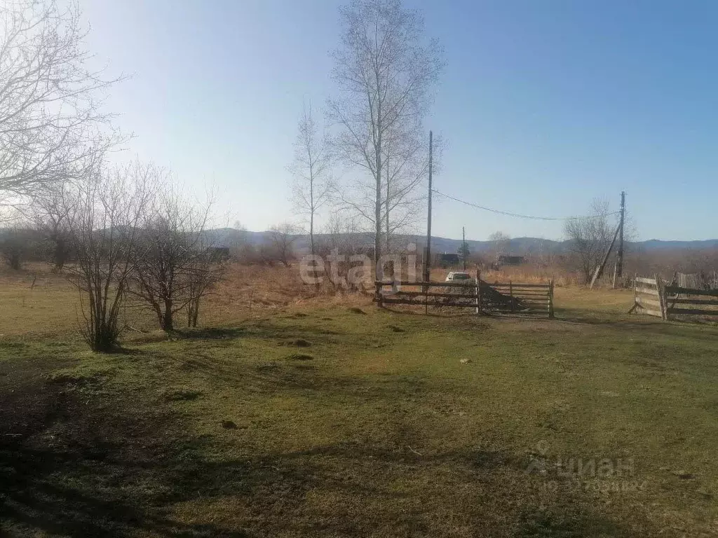 Участок в Алтайский край, Смоленский район, с. Сычевка Советская ул. ... - Фото 2