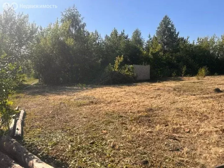 Участок в Верхнехавский район, Углянское сельское поселение, СНТ ... - Фото 1