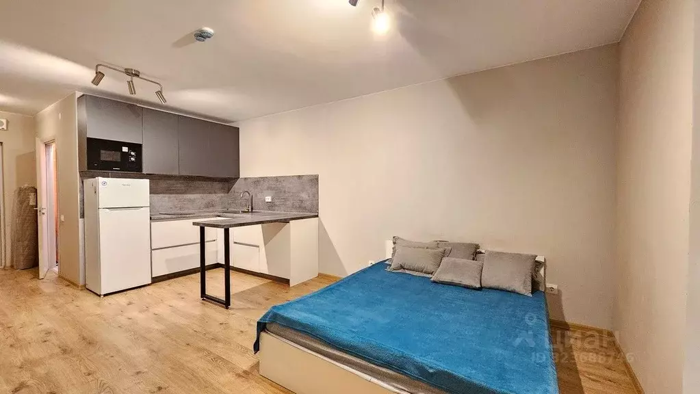 Студия Санкт-Петербург пос. Парголово, проезд Толубеевский, 8к2 (29.0 ... - Фото 1