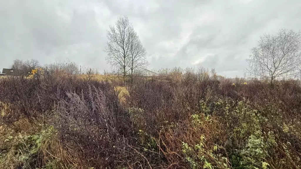 Участок в Московская область, Можайск Москворецкий мкр,  (6.0 сот.) - Фото 2