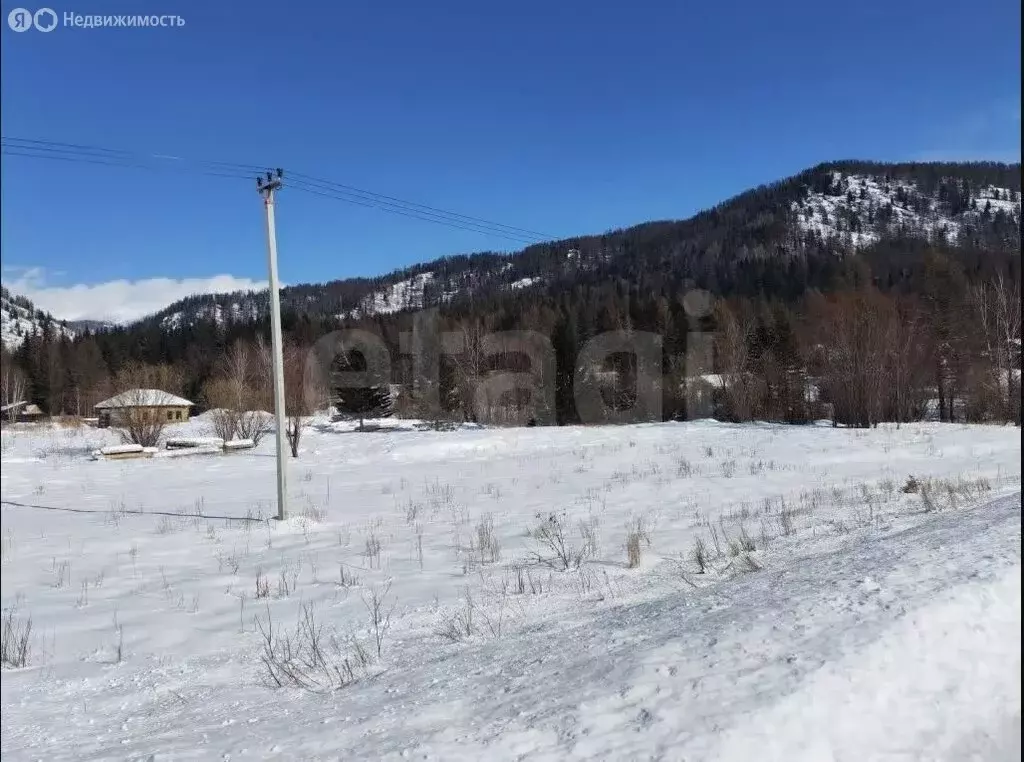 Участок в Усть-Коксинский район, Усть-Коксинское сельское поселение, ... - Фото 2