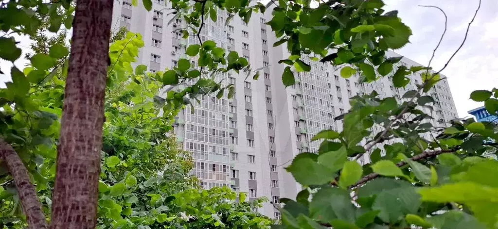 2-к. квартира, 56 м, 14/19 эт. - Фото 0