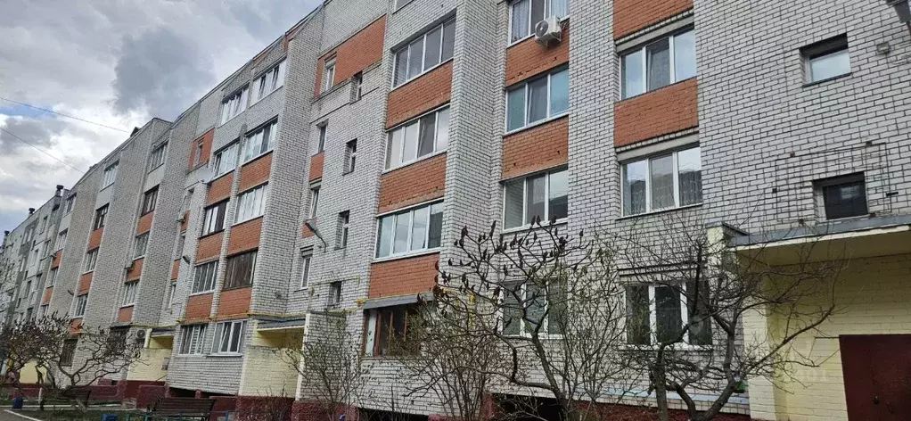 1-к кв. Брянская область, Брянск Транспортная ул., 20 (34.7 м) - Фото 1