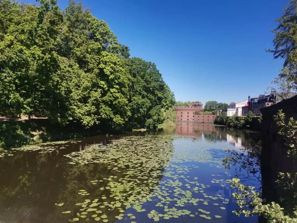 3-к кв. Калининградская область, Калининград Ракитная ул., 9 (60.0 м) - Фото 1