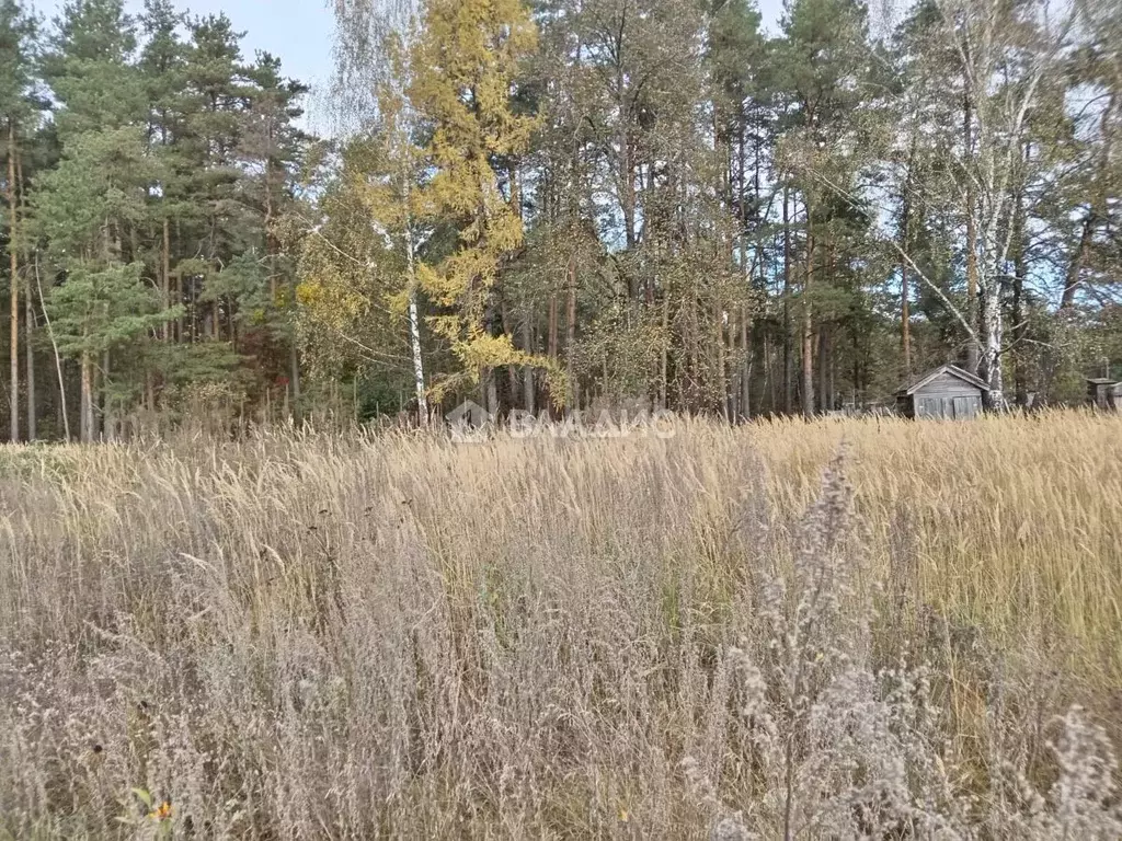 Участок в Владимирская область, Судогодский район, пос. Улыбышево ... - Фото 1