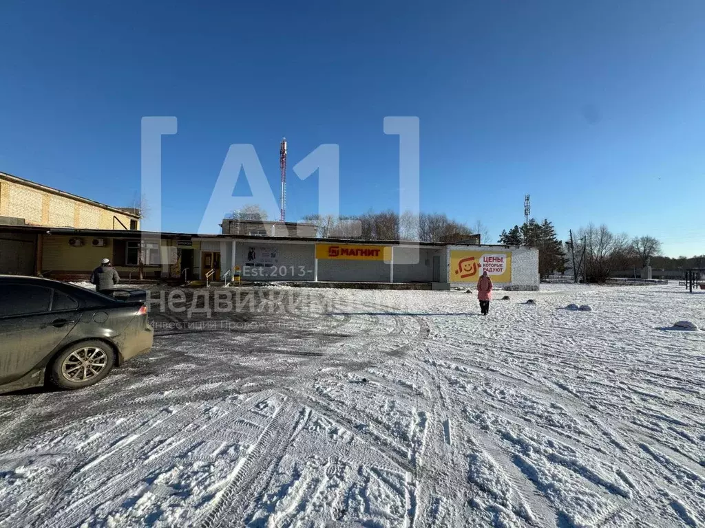 Торговая площадь в Челябинская область, Красноармейский район, ... - Фото 0