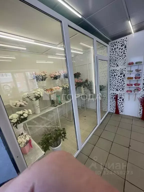 Помещение свободного назначения в Кемеровская область, Киселевск ... - Фото 1