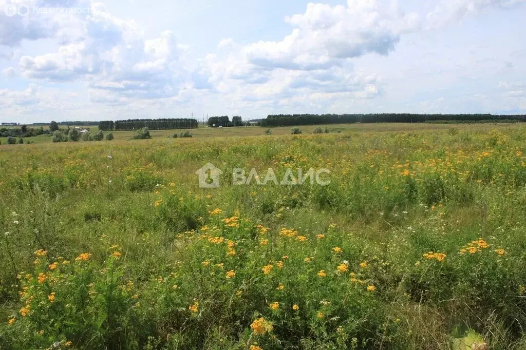 Участок в село Дивеево, улица Некрасова (8 м) - Фото 0
