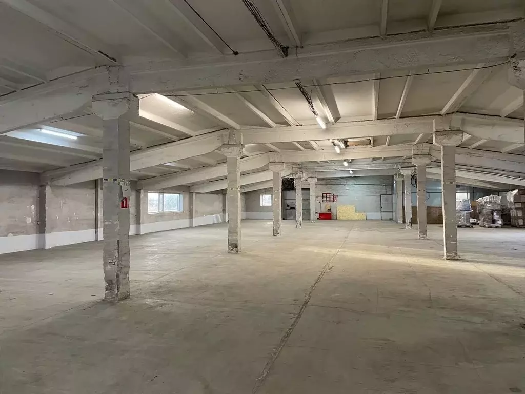 Склад в Ленинградская область, Ломоносовский район, д. Санино 42Е ... - Фото 2