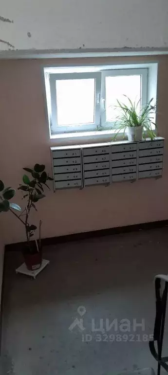 1-к кв. Ленинградская область, Тосно г. Тосненский район, Тосненское ... - Фото 2