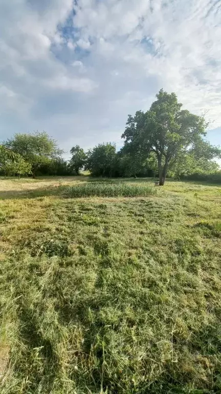 Дом в Орловская область, Орловский район, с. Становой Колодезь ... - Фото 1