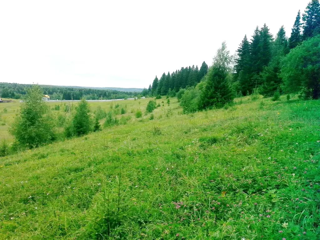 Участок в Пермский край, Краснокамский муниципальный округ, д. ... - Фото 2