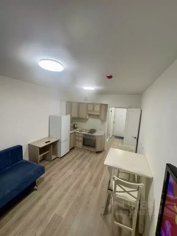 Студия Санкт-Петербург ул. Пахомовская, 14к2 (24.0 м) - Фото 1