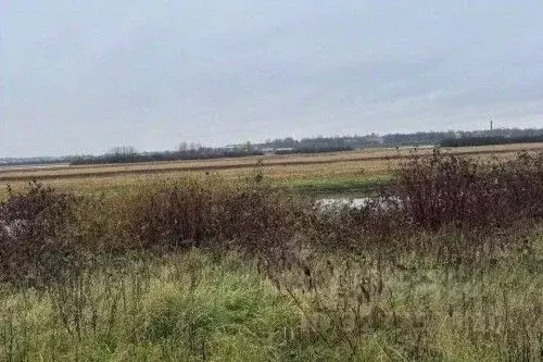 Участок в Новгородская область, Новгородский район, Савинское с/пос, ... - Фото 2