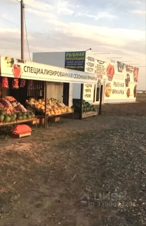 Торговая площадь в Астраханская область, Харабалинский район, с. ... - Фото 2