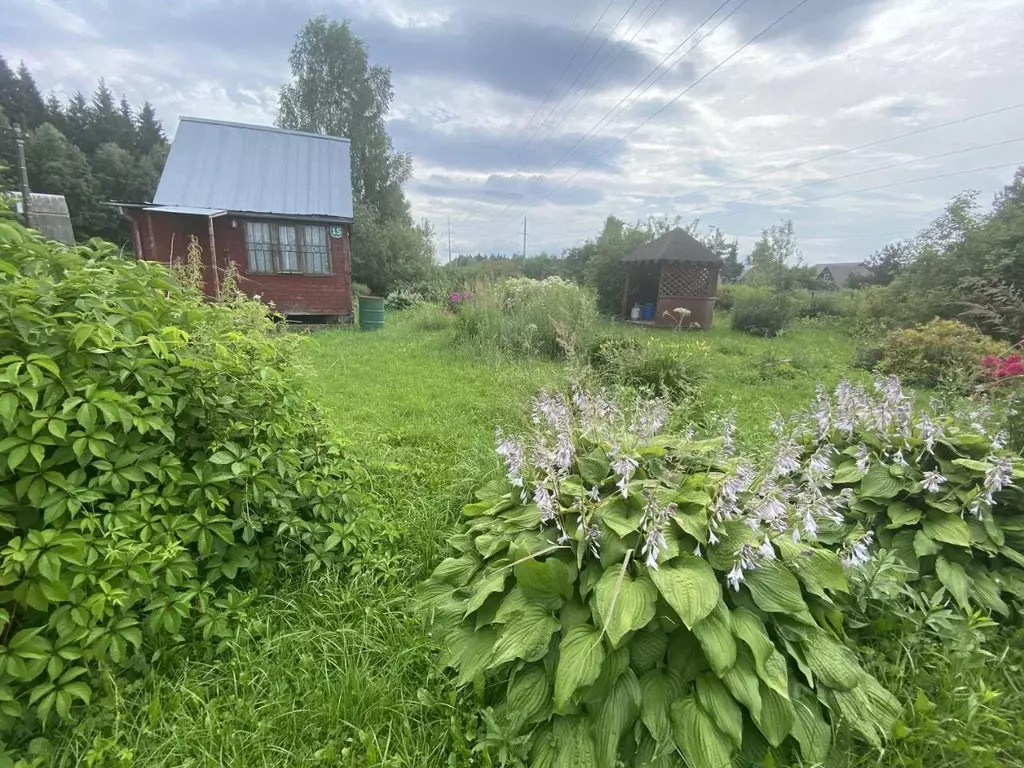 Участок в Московская область, Одинцовский городской округ, Мечта ... - Фото 0