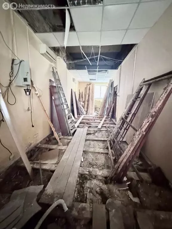Помещение свободного назначения (33.4 м) - Фото 1