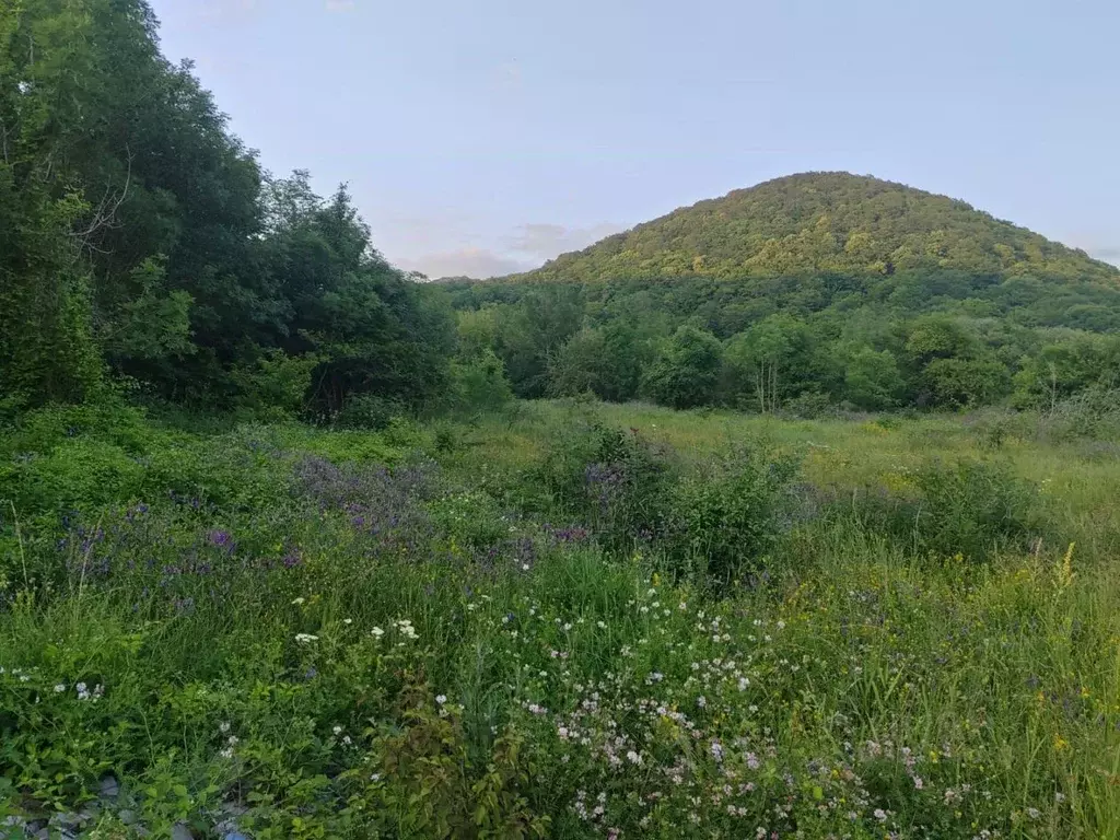 Участок в Краснодарский край, Туапсинский муниципальный округ, с. Бжид ... - Фото 1
