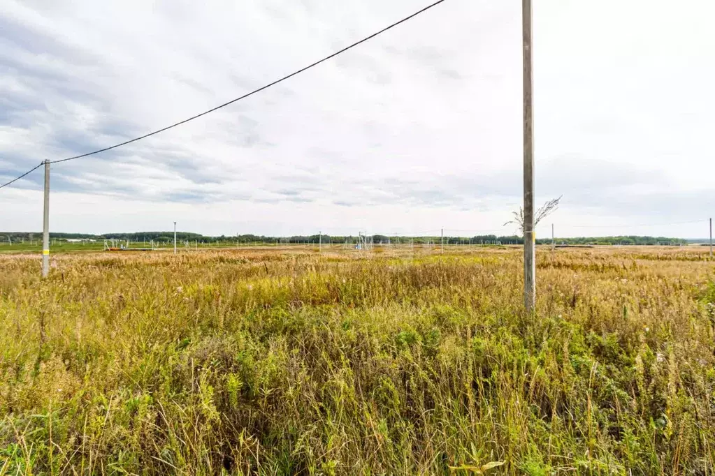 Участок в Тюменская область, Тюменский муниципальный округ, ... - Фото 1