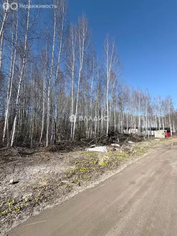 Участок в деревня Черемисское, квартал Дачный (12 м) - Фото 1