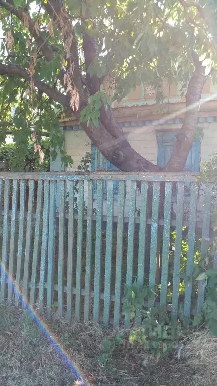 Дом в Ростовская область, Сальск ул. Димитрова (42 м) - Фото 1