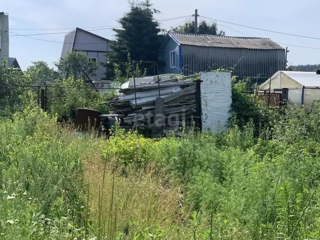 Дом в Новосибирская область, Бердск Чайка садовое товарищество, ул. ... - Фото 1