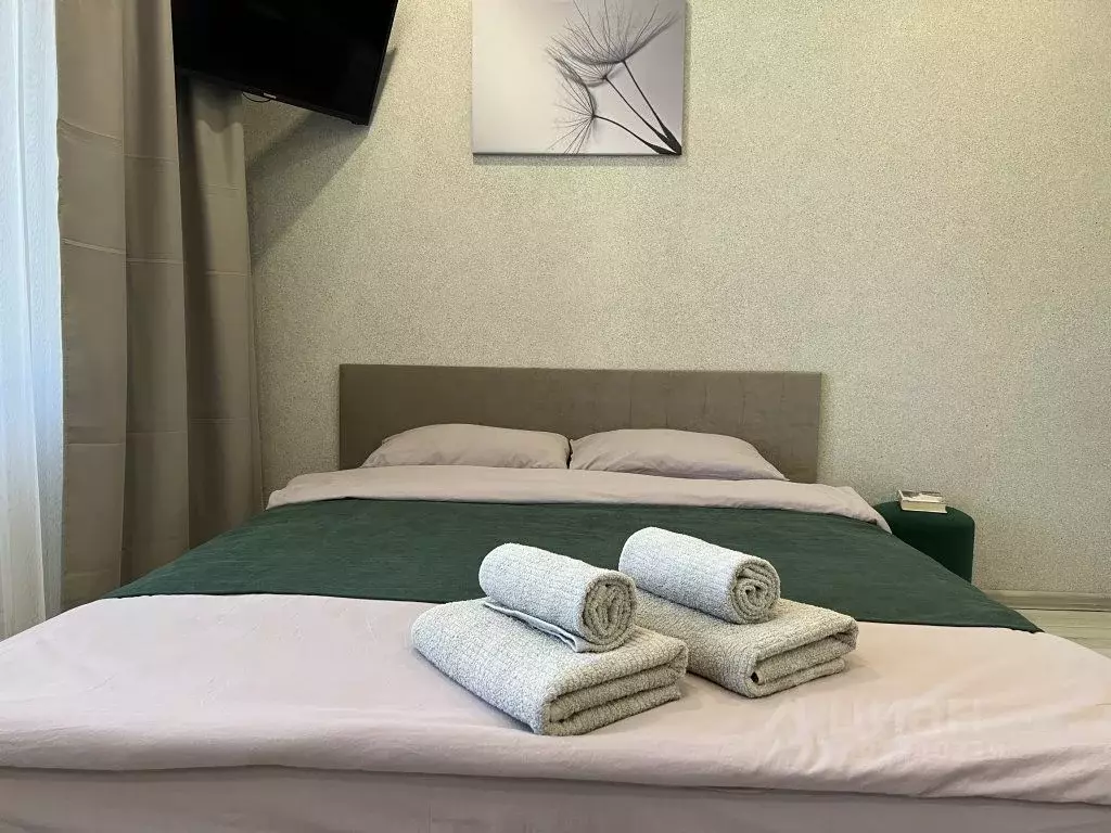1-к кв. Татарстан, Казань ул. Родины, 26Г (31.0 м) - Фото 0