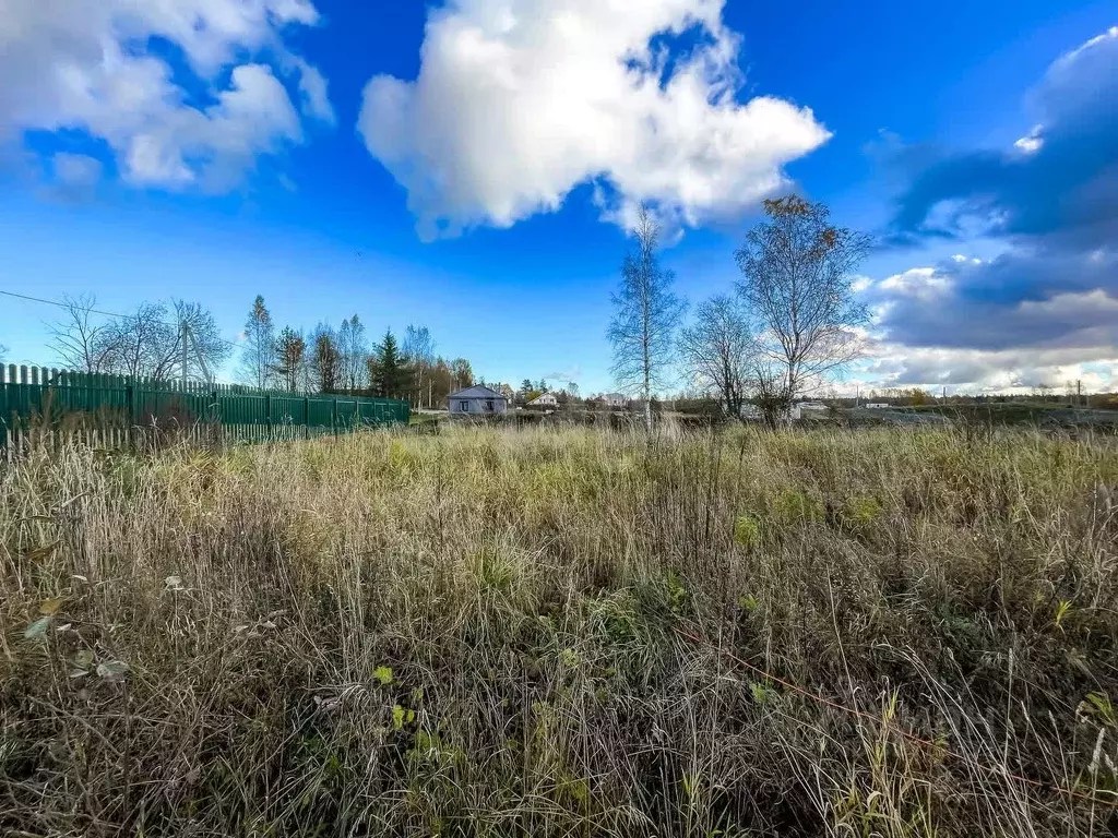 Участок в Ленинградская область, Ломоносовский район, Пениковское ... - Фото 2