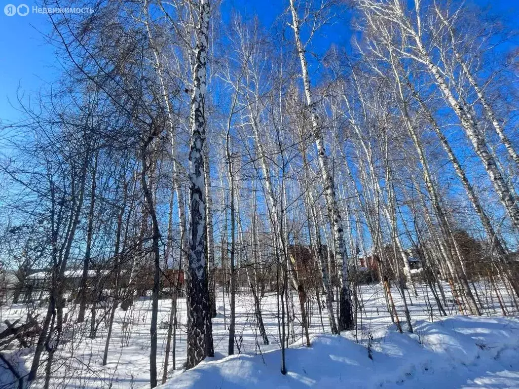 Участок в Челябинская область, Сосновский муниципальный округ, СНТ ... - Фото 2