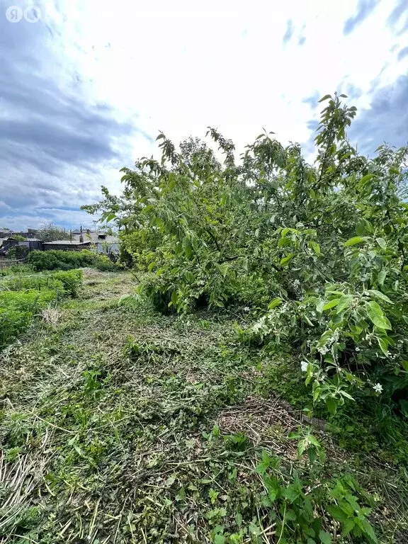Дом в посёлок городского типа Берёзовка, Заречная улица, 14 (125 м) - Фото 0