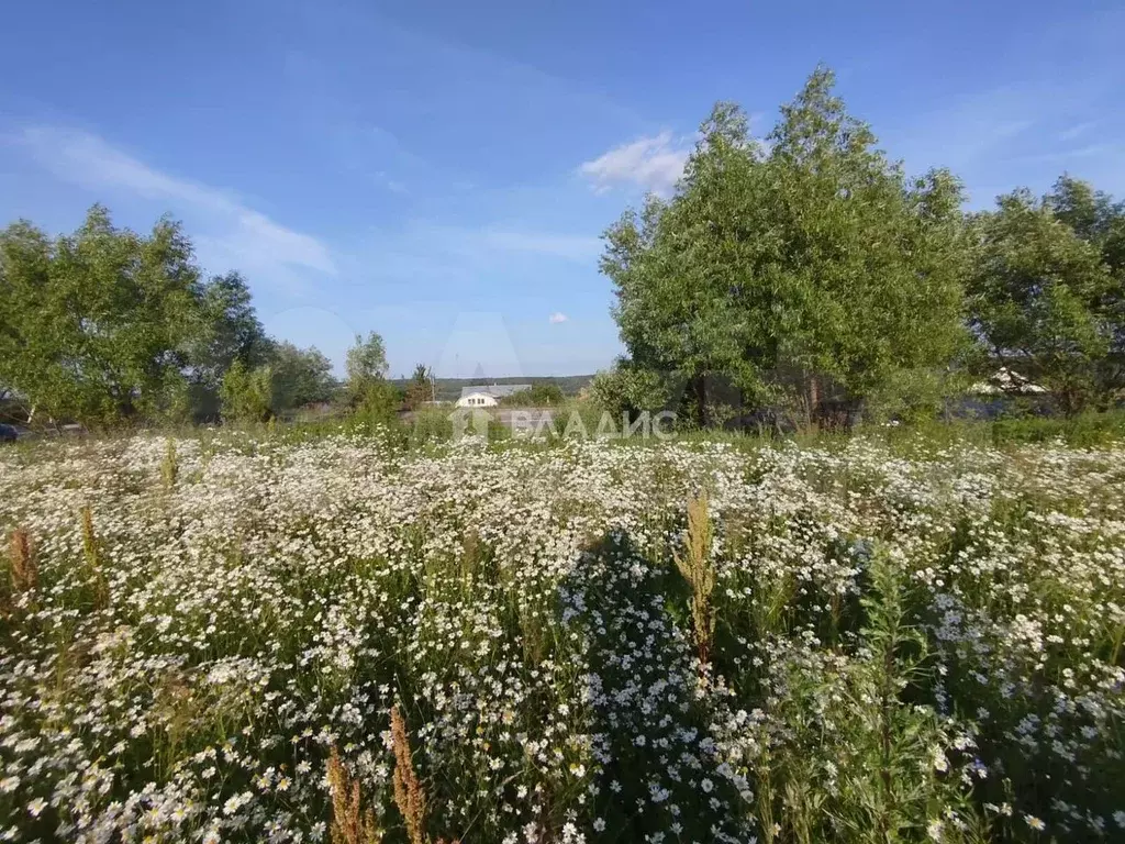Участок 2,35 га (СНТ, ДНП) - Фото 1