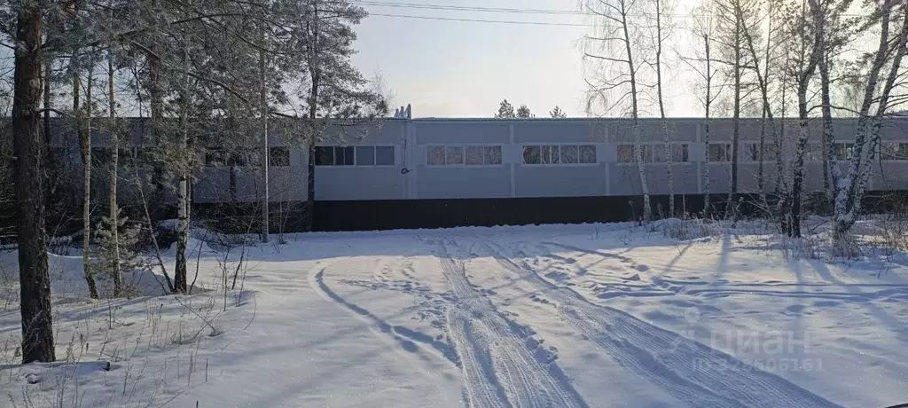 Помещение свободного назначения в Воронежская область, Рамонский ... - Фото 2