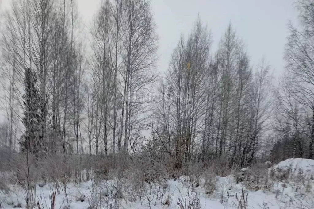 Участок в Новосибирская область, Новосибирский район, Барышевский ... - Фото 0