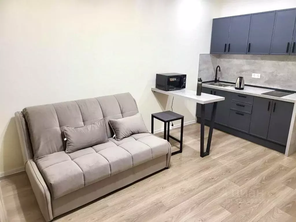 Студия Московская область, Котельники Парковый мкр, 1к20 (20.0 м) - Фото 1