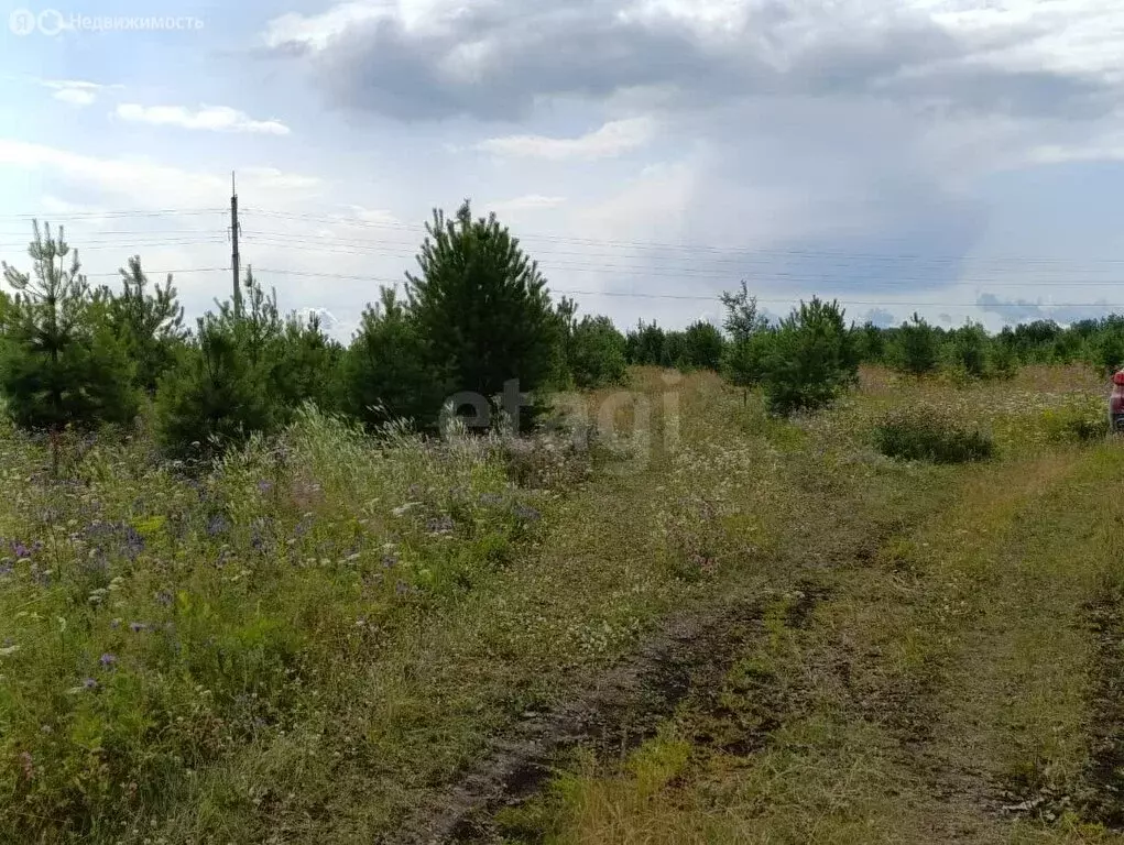 Участок в Алапаевск, Лазуритовая улица (10 м) - Фото 0