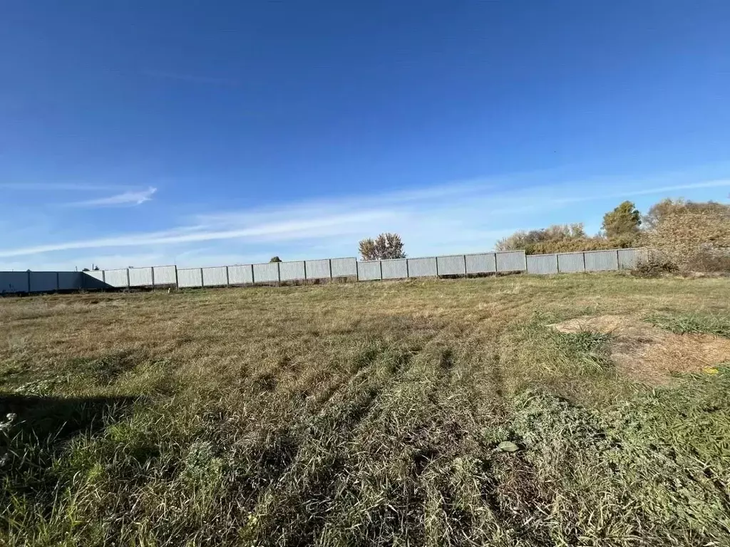 Участок в Оренбургская область, Октябрьский район, Имангуловский ... - Фото 1