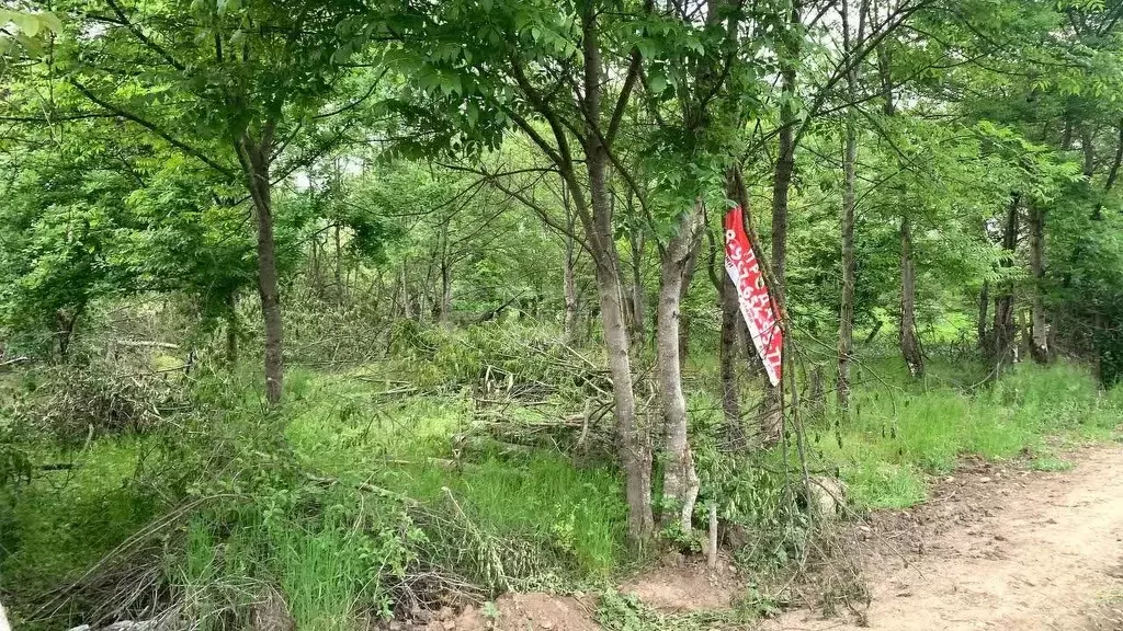 Участок в Адыгея, Майкоп Птицевод СДТ, ул. Малиновая (5.0 сот.) - Фото 1