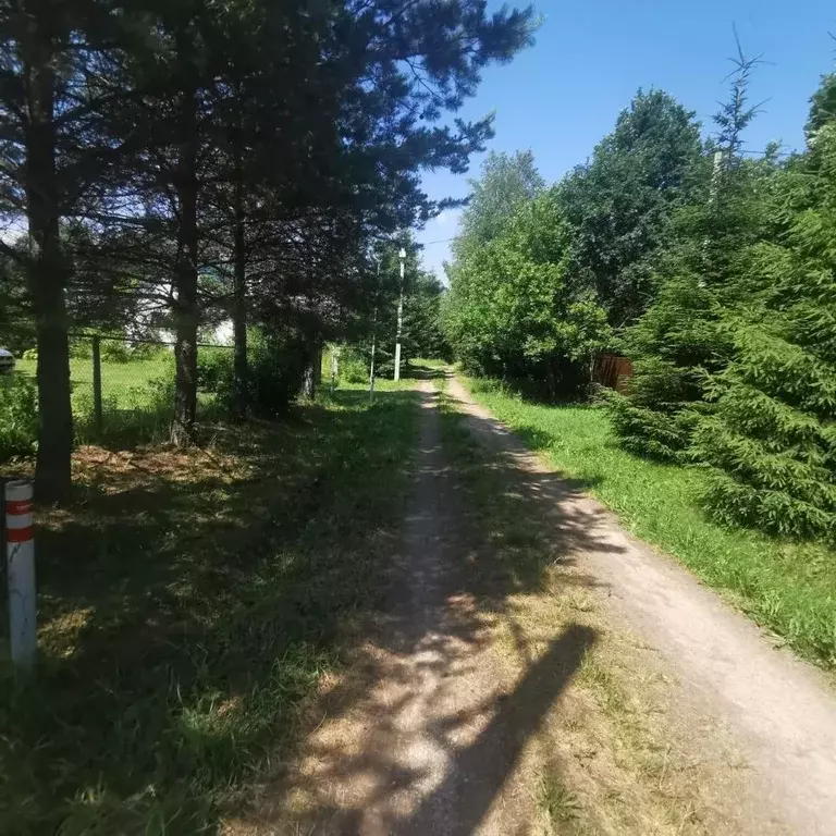 Участок в Владимирская область, Александровский муниципальный округ, ... - Фото 1