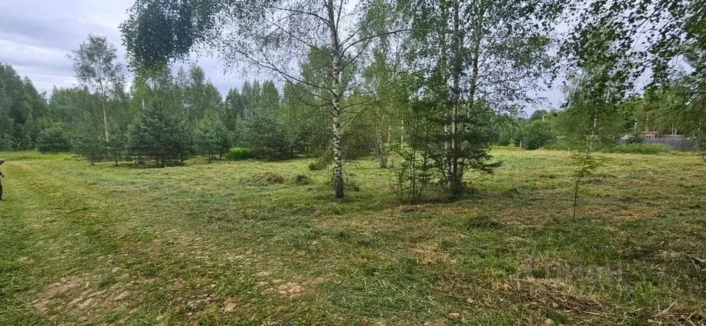 Участок в Новгородская область, Новгородский район, Савинское с/пос, ... - Фото 1