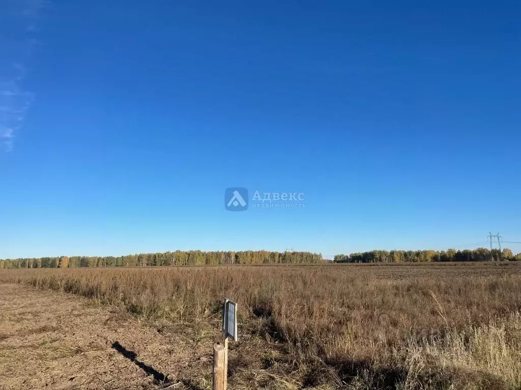 Участок в Тюменская область, Тюменский муниципальный округ, с. Каменка ... - Фото 1