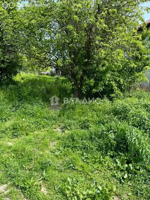 Участок в Калининград, ДНТ Золотой Петушок, Большая Окружная улица ... - Фото 1