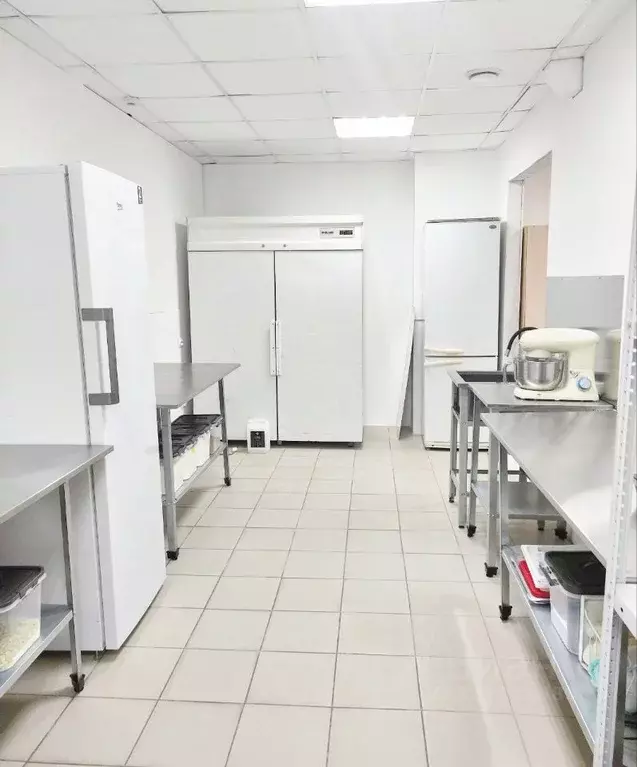 Производственное помещение в Башкортостан, Уфа ул. Красина, 21 (35 м) - Фото 1