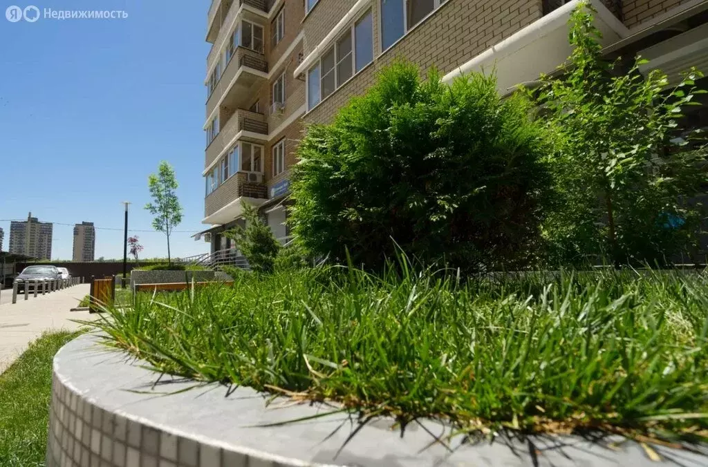 Квартира-студия: Краснодар, улица Гидростроителей, 62к3 (30 м) - Фото 1