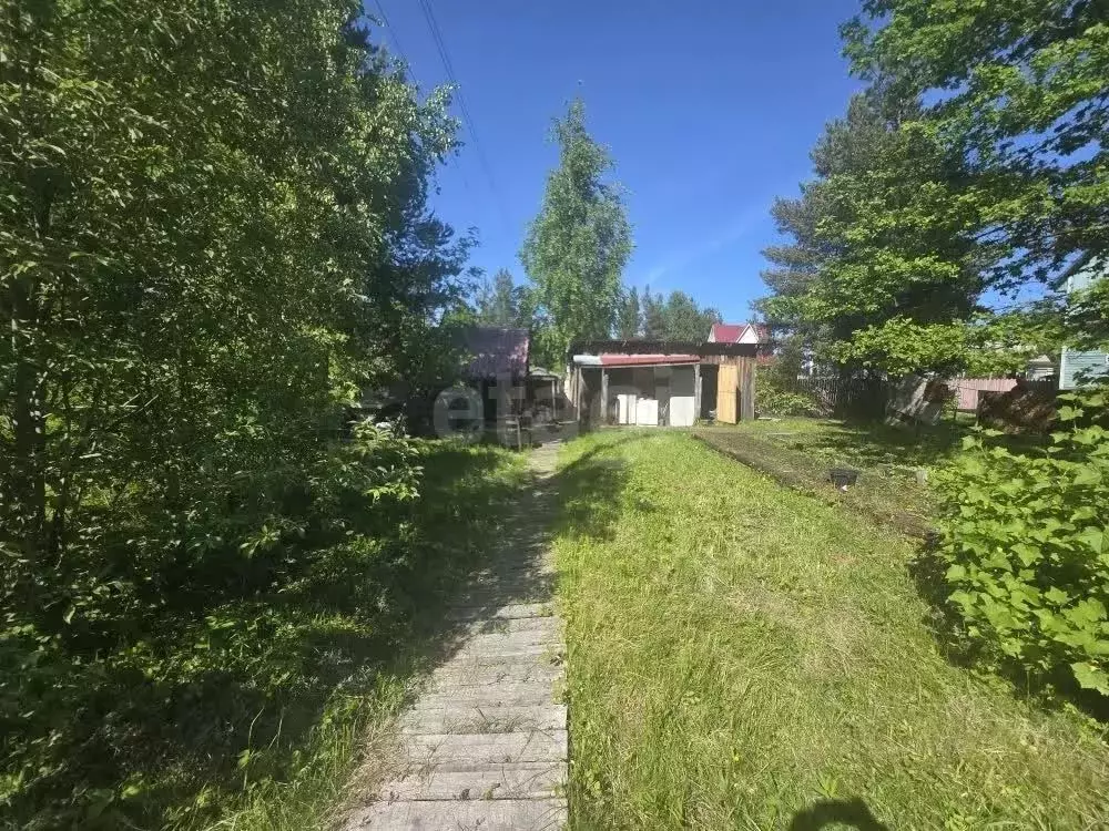 Дом в Архангельская область, Приморский муниципальный округ, Борок СНТ ... - Фото 1