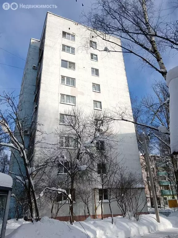 1-комнатная квартира: Краснознаменск, проспект Мира, 1 (26 м) - Фото 1